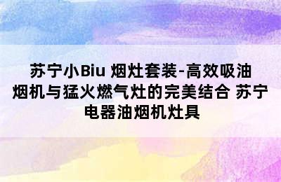 苏宁小Biu 烟灶套装-高效吸油烟机与猛火燃气灶的完美结合 苏宁电器油烟机灶具